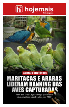 Edição 2.543