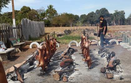 PEIXE DA ILHA 