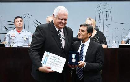 Medalha do Mérito da Defesa e Segurança Pública