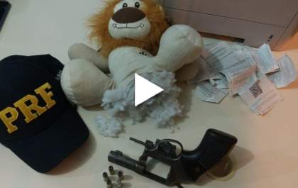 Urso de pelúcia era esconderijo de droga, arma e munição