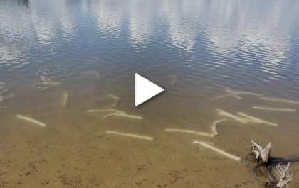 Explosivos são encontrados em lagoa à beira de rodovia