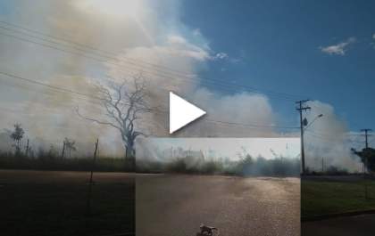 Fogo em vegetação na região do Set Sul mobiliza o Corpo de Bombeiros
