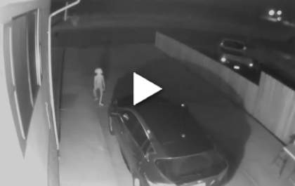 Elfo de Harry Porter supostamente aparece em vídeo de câmeras de segurança
