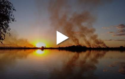 Vídeo: Incêndio destrói mata em Ilha Comprida