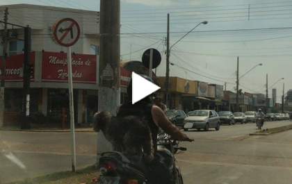 Cachorro ‘motoqueiro’ faz sucesso no trânsito de Três Lagoas&nbsp;