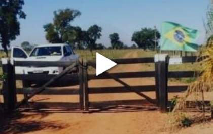 Na Semana da Pátria, Tereza Cristina quer bandeira do Brasil na entrada de fazendas