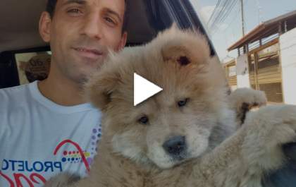 Vereador procura sua cachorrinha dasaparecida e paga recompensa para quem a encontrar