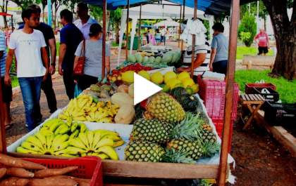 Feira do Stella Maris é aprovada pelo público