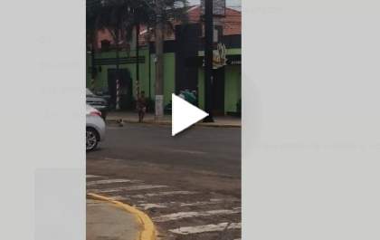 Vídeo flagra motoristas saindo nos tapas em semáforo de Três Lagoas