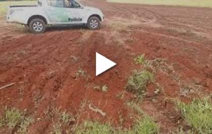 Árvores estão sendo enterradas para o plantio de cana