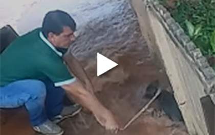 Cachorro é carregado por enxurrada e salvo por homem e uma máquina pesada