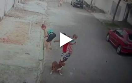 Jovem salva criança de 5 anos de ataque de Pitbull. O dono do cachorro ainda não apareceu