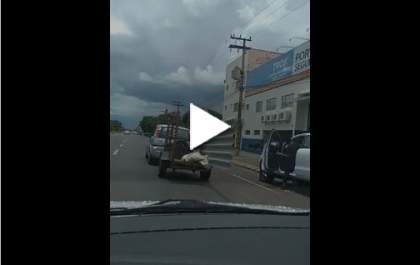 Vídeo de senhora carregando telha em pé em cima de reboque viraliza