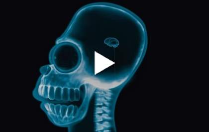 Internauta sugere que direita é burra e que por isso não consegue doutorado