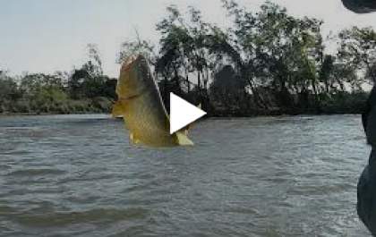 Pesca será aberta no sábado 29