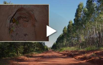 Caso Gaby: Menor diz que a mãe o ameaçou com uma chave de roda