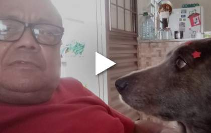 Conheça Lola, a cachorra que adora passear de carro em Três Lagoas