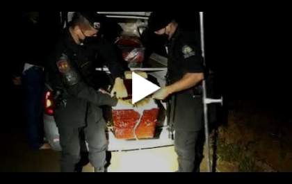 Cara de pau: maconha em caixões de mortos por coronavírus