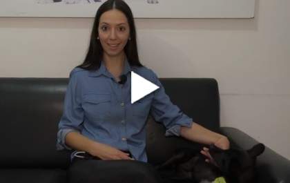 Mundo Animal - Ativismo na defesa dos animais em Andradina (SP)