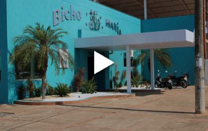 Bicho Mania - Conheça os diferenciais da clínica há 20 anos no mercado