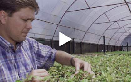 Conheça o curso de Agronomia da AEMS&nbsp;