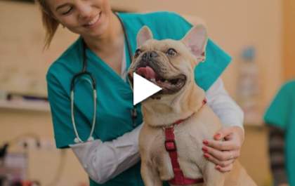 Conheça o curso de Medicina Veterinária da AEMS
