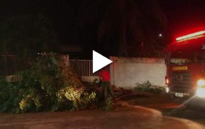 Chuva de ontem causou vários estragos no começo da noite