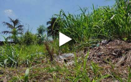Prefeitura da 15 dias de prazo para a limpeza de 24,479 terrenos em T.L