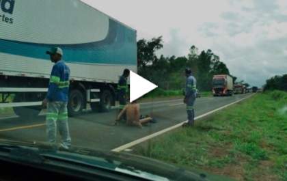 Homem fica Nu em rodovia e quase causa acidente em Cassilândia