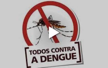 Mosquito da dengue pode escolher locais inusitados para procriar
