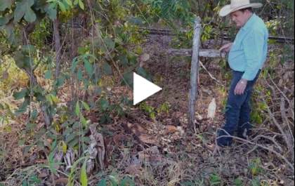 Cemitério abandonado é encontrado em Três Lagoas