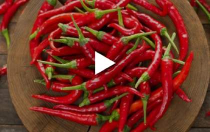 PIMENTA: Campanha 