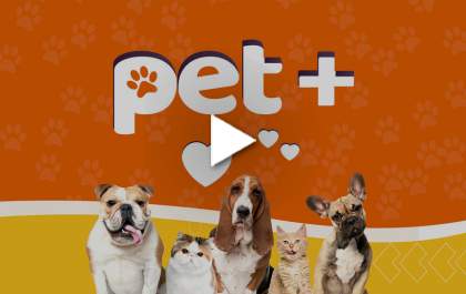 Pet + fala sobre a importância das consultas veterinárias