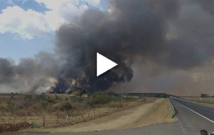 Incêndio em canavial mobiliza bombeiros em Araçatuba