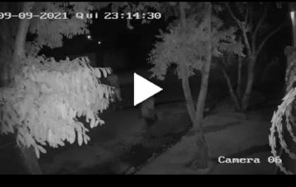 Câmera de segurança mostra Saci roubando uma casa