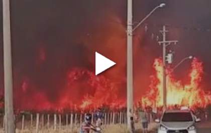 Incêndio em canavial assusta moradores em Valparaíso