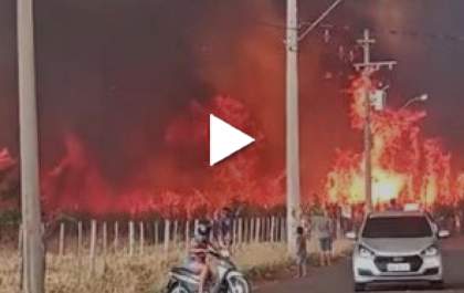 Incêndio em canavial assusta moradores em Valparaíso