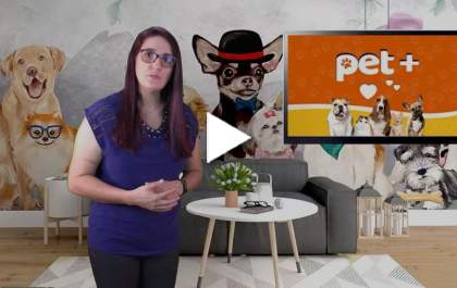 Qual a importância do banho e tosa para nossos Pets?