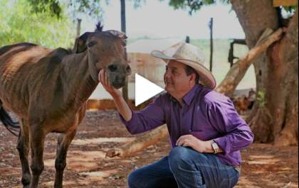 Morre Fiapo, o burrinho que acompanhou Ângelo por 33 anos