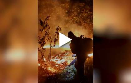 Hojemais Noticias: Incêndio atrás de empresa provoca tensão entre funcionários