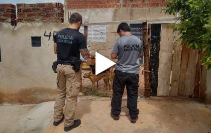 Cães são encontrados sem comida e repletos de carrapatos em casa em Castilho