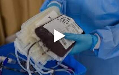 Falta Sangue nos Hospitais&nbsp;