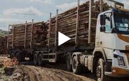 Saiba porque o Fueiro Exte é tão indicado no transporte de madeira