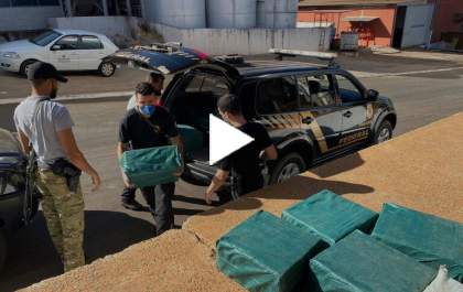 PF incinera 663 quilos de pasta base de cocaína encontrados em avião