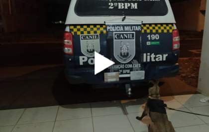 Ação da PM causa prejuízo ao crime de aproximadamente R$240 mil