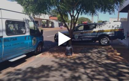 Homem é preso por agressão em supermercado