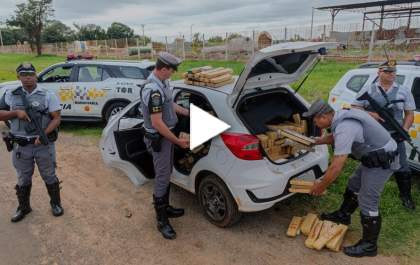 Dois motoristas por aplicativo são presos com 256 quilos de maconha e 4,4 quilos de skank