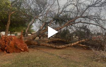 Rajadas de vento alcançaram velocidades de até 51 km/h durante temporal em Três Lagoas