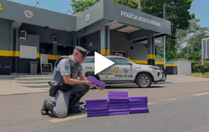 TOR prende passageira de ônibus com 20 tijolos de maconha