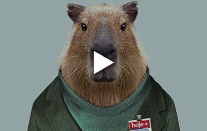 Algumas informações picantes reveladas pela capivara sem nome da Lagoa Maior